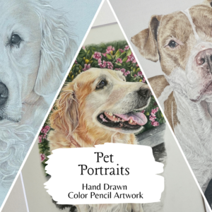 image with three panels showing different dog portraits